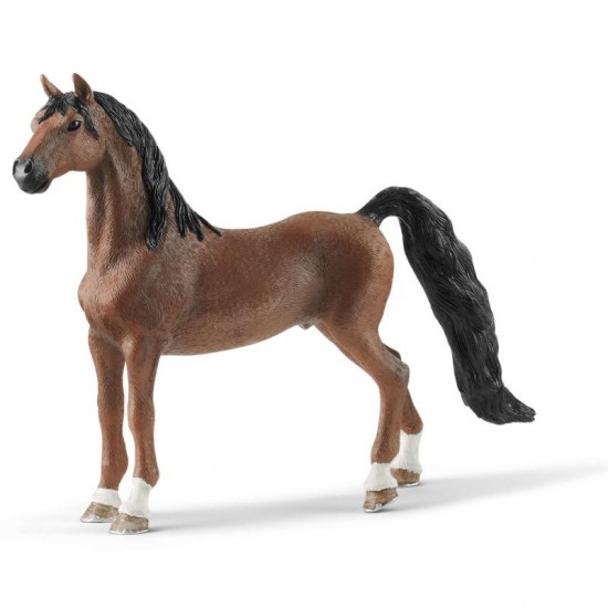 Horse Club Ko Saddlebred Wa ach Horse Club Ko Saddlebred Wa ach