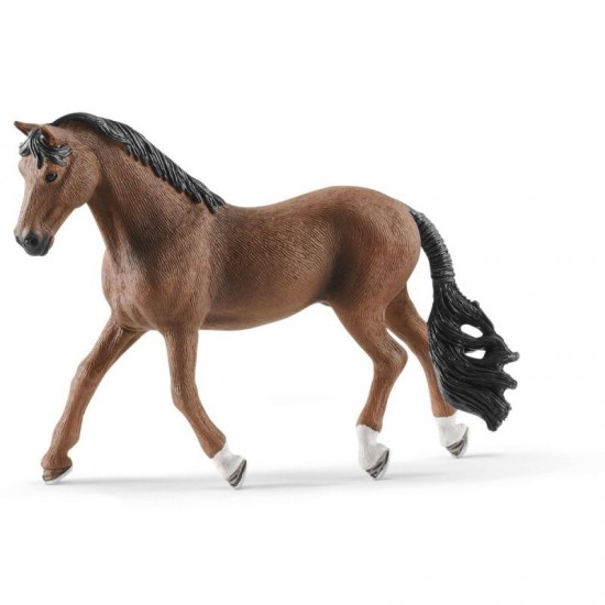 Wa ach Trakehner Wa ach Trakehner