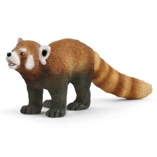 Panda Ruda Panda Ruda