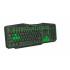 Esperanza EGK201G keyboard USB QWERTY UK English Black, Green