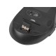 Keyboard + mouse Set membrane NATEC Stingray NZB-1440 (USB (Radio 2.4 GHz) (US) black color Optical 1600 DPI, 800 DPI)