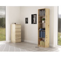Topeshop R50 ARTISAN office bookcase