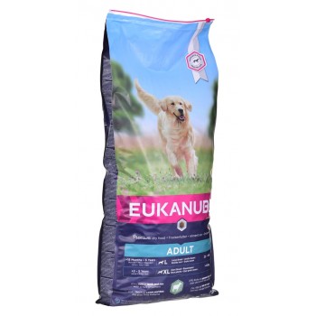Dog food Eukanuba Large Breed Lamb Rice 12 kg