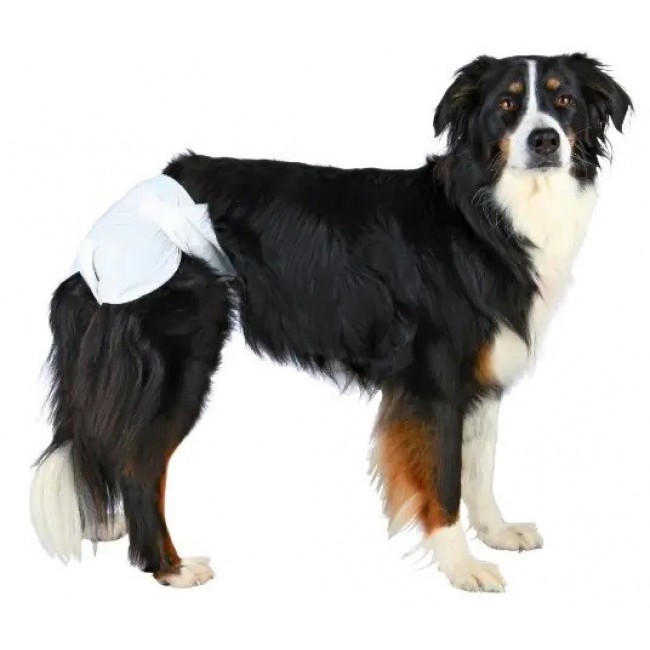 TRIXIE - Nappies for Dogs - XL
