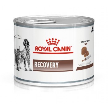 ROYAL CANIN Recovery Wet dog and cat food Mousse Poultry, Pork 195 g