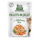 BRIT Care Fillets in Jelly Flavour Box- wet cat food - 12 x 85g
