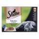Sheba Selection in Sauce Mix of Tastes 12 x 85 g