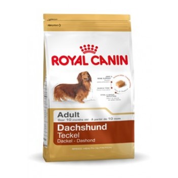 ROYAL CANIN Dachshund Adult - dry dog food - 7,5 kg