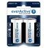 Alkaline batteries everActive Pro Alkaline LR20 D - blister card 2 pieces