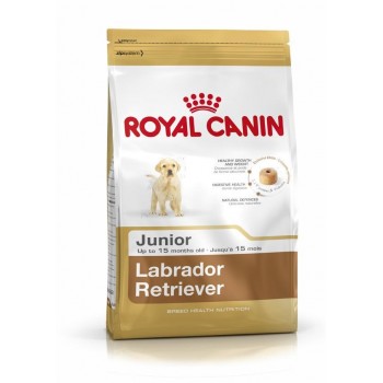 ROYAL CANIN SHN Breed Labrador Junior dry dog food - 12 kg