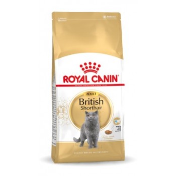 Royal Canin FBN British Shorthair Adult - dry cat food - 10kg