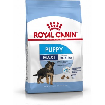 Royal Canin SHN Maxi Puppy - dry puppy food - 4kg