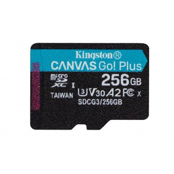 Kingston Technology 256GB microSDXC Canvas Go Plus 170R A2 U3 V30 Single Pack w/o ADP