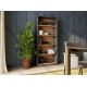 Topeshop R80 ANT/ART office bookcase