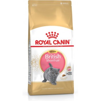 Royal Canin British Shorthair Kitten cats dry food Poultry, Rice,Vegetable 10 kg