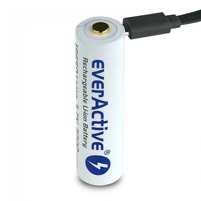 Battery everActive 18650 3.7V Li-ion 3200mAh micro USB with protection BOX