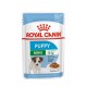 ROYAL CANIN SHN Mini Puppy in sauce - wet puppy food - 12X85g