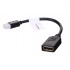Lanberg AD-0003-BK DisplayPort cable 0.12 m Mini DisplayPort Black
