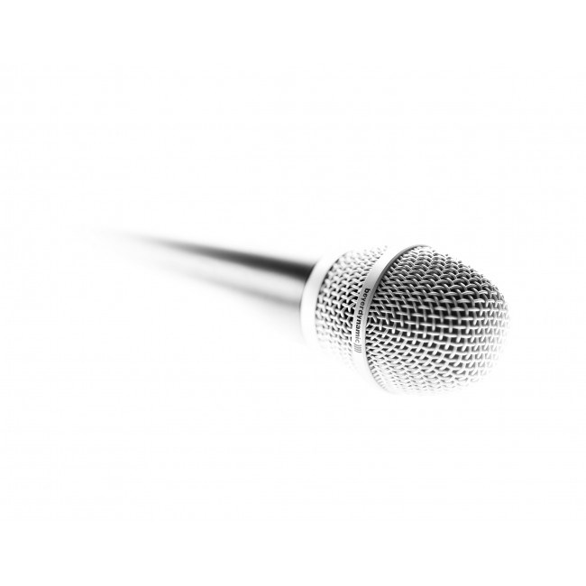 Beyerdynamic TG V35d s Black, Silver Stage/performance microphone