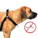 DINGO Easy Walk - Dog harness - 61-90 cm