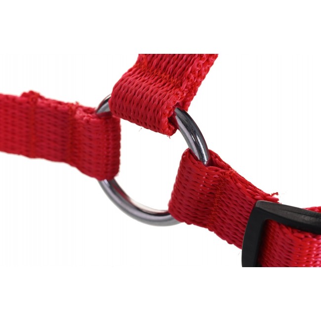 DINGO Easy Walk - Dog harness - 42-64 cm