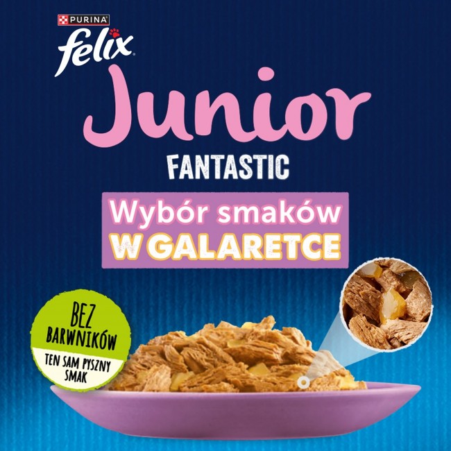 Felix Fantastic Junior rural flavors in jelly - chicken, salmon - 340g (4x 85 g)