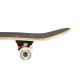 Skateboard NILS EXTREME CR3108SA CAMPER