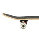 Skateboard NILS EXTREME CR3108SA CAMPER