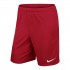Nike 725887-657 Flat front shorts Male Red
