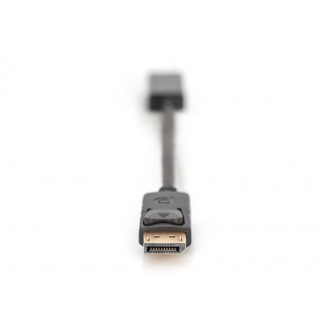 Digitus DisplayPort Adapter / Converter