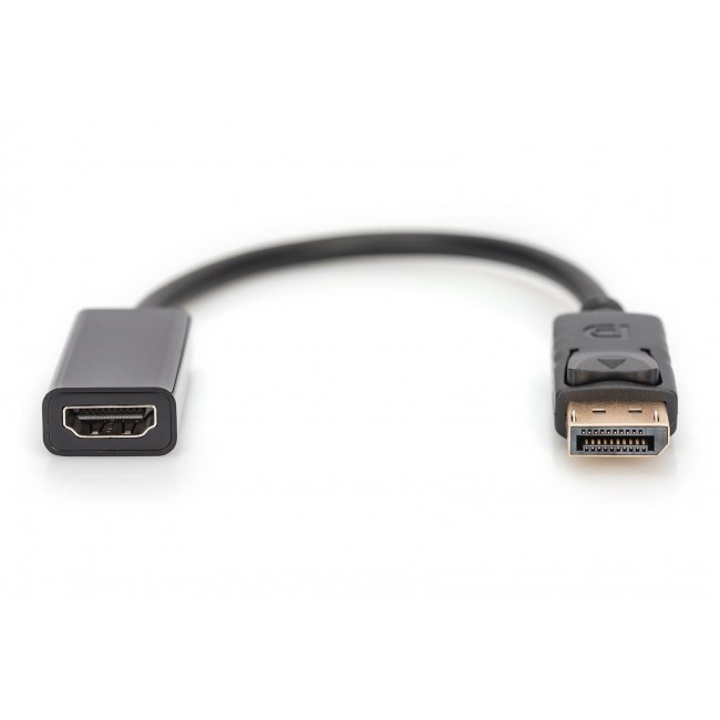 Digitus DisplayPort Adapter / Converter