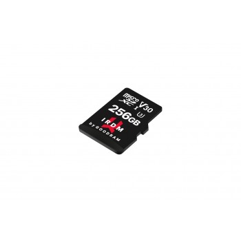 Goodram IRDM 256 GB MicroSDXC UHS-I Class 10