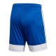 Adidas Tastigo 19 DP3682 XL shorts