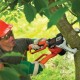 Branch cutter 