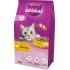 WHISKAS Cat Adult with chicken - dry cat food - 7 kg