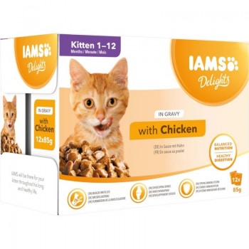 IAMS Delights Kitten Chicken in gravy - wet cat food - 12 x 85g