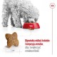 ROYAL CANIN Adult Mini S - dry dog food - 4kg