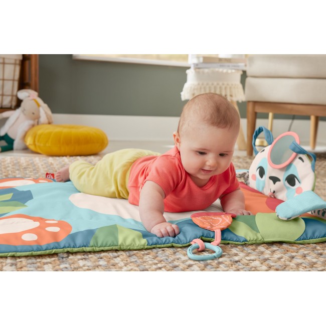Fisher-Price Planet Friends Roly-Poly Panda Baby Activity Play Mat with 2 Toys