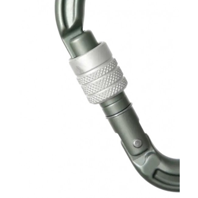 Edelrid 737990006630 climbing carabiner Locking carabiner D-shaped Aluminium Metallic 1 pc(s)