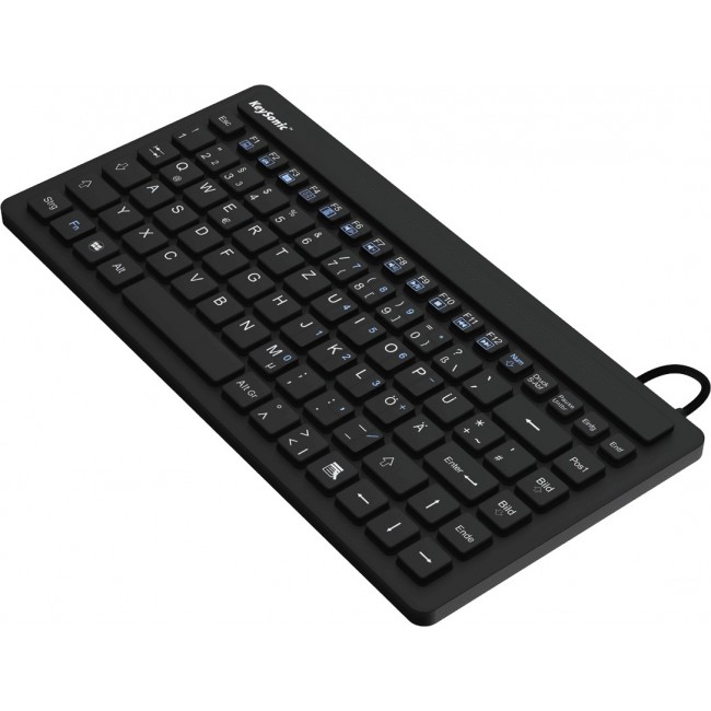 KeySonic KSK-3230IN (US) keyboard Industrial USB QWERTY US English Black KeySonic KSK-3230IN (US) keyboard Industrial USB QWERTY US English Black