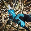 Makita DUP362Z power shear/nibbler