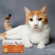 JM SANTE Multiway Vet Duocaps Kidneys - twist-off capsules for kidneys for dogs and cats 60 pcs