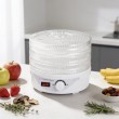 Esperanza EKD003 food dehydrator Transparent, White 250 W