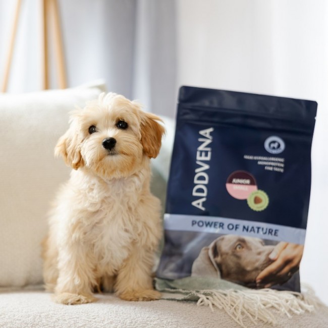 ADDVENA Power of Nature Junior Small Lamb - dry dog food - 10kg ADDVENA Power of Nature Junior Small Lamb - dry dog food - 10kg