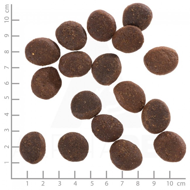 WOLFSBLUT Polar Night Reindeer with sweet potatoes - dry dog food - 12,5kg WOLFSBLUT Polar Night Reindeer with sweet potatoes - dry dog food - 12,5kg