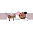 3COTY 24. Turkey and goose - wet cat food - 180g