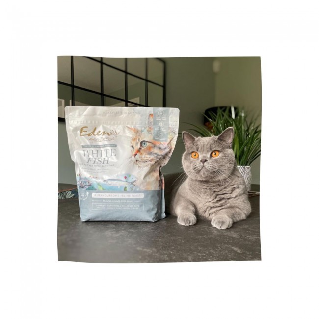 EDEN White Fish with Herring Caviar - dry cat food - 1.5 kg