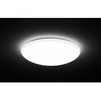 Maclean MCE144 Ceiling lamp Wall light IP66 Interior Exterior