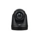 AVer DL30 webcam 2 MP 1920 x 1080 pixels USB Black
