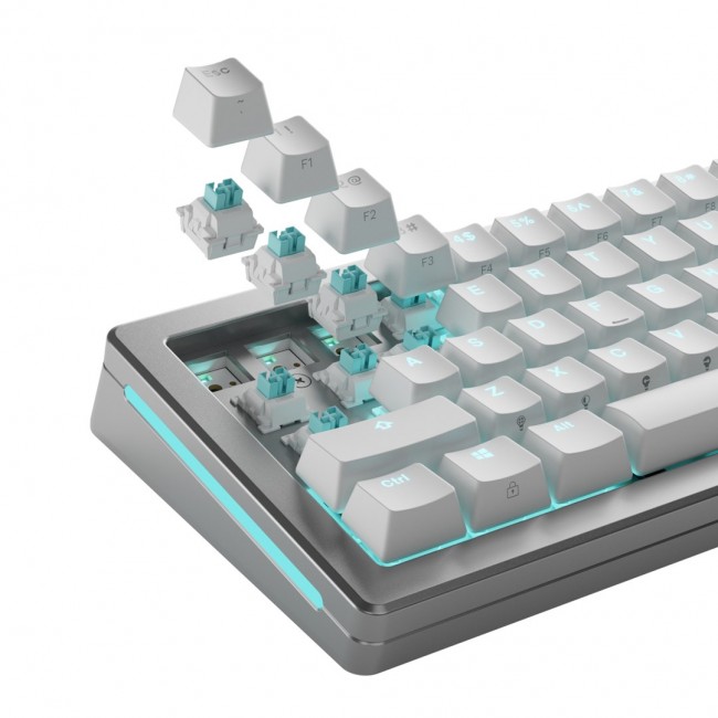 Glorious Gaming Glorious Lynx HE Switches - 36 pieces